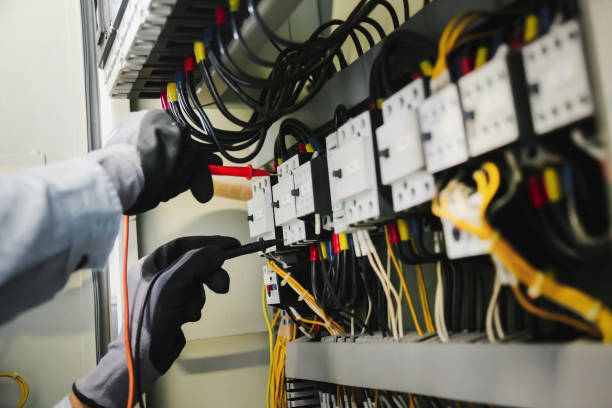 Best Electrical Panel Upgrades  in Amery, WI